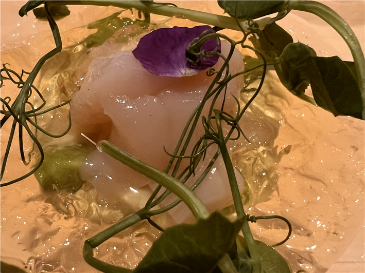 scallop with yuzu jelly